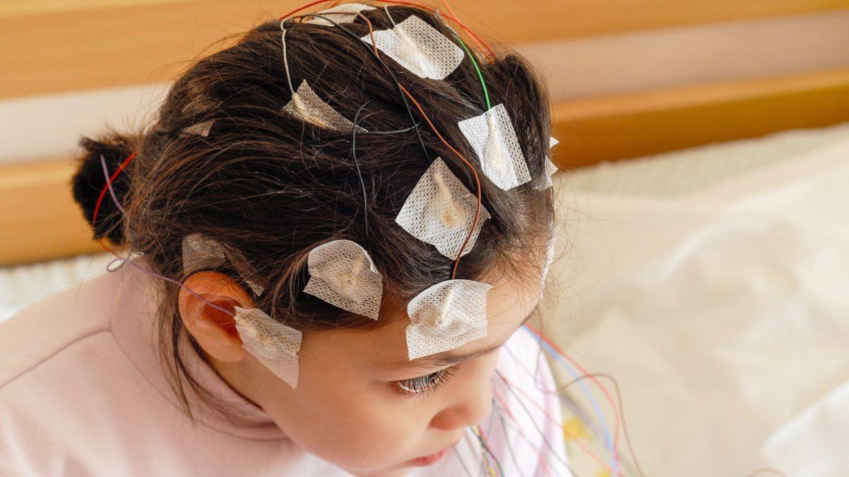 9374f1df-188d-4be5-b0ed-5dbf328652e1